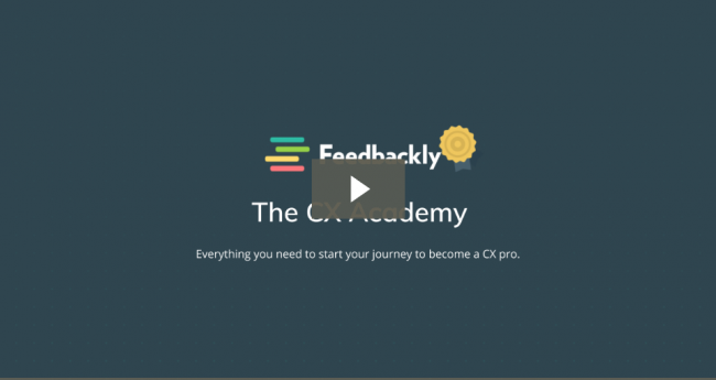 Download CX Academy - Customer Experience 101