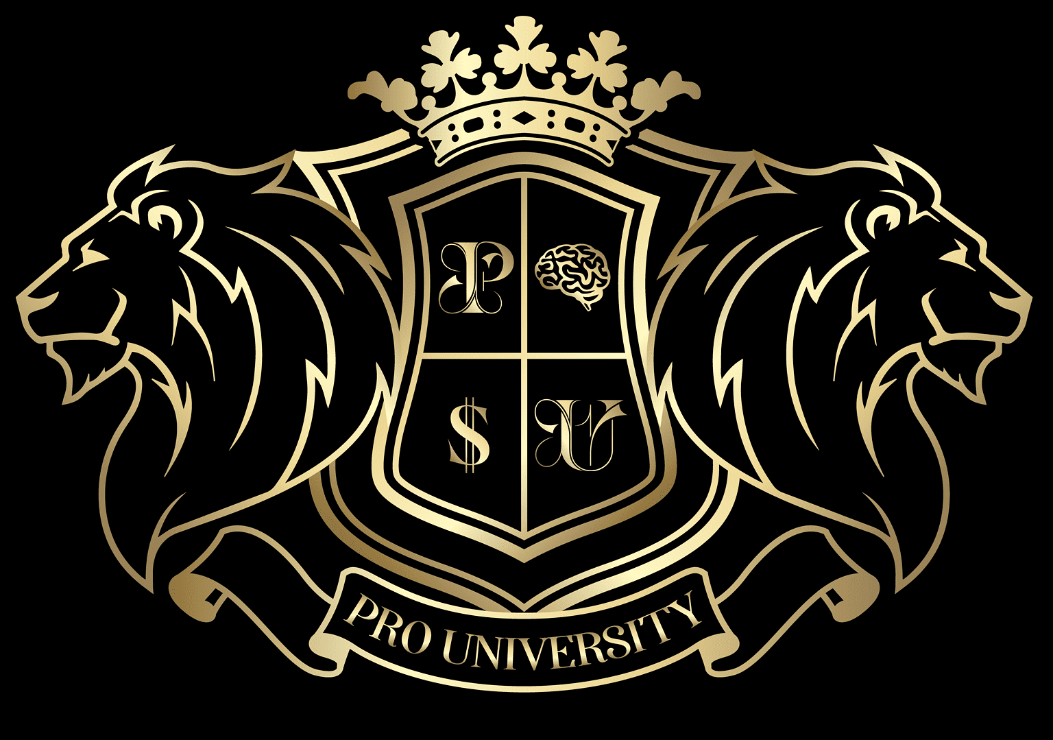 63508d1248406_Pro_University-1536×1092